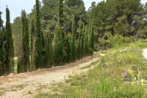 Helårsgrund i Ginestar, Tarragona, Ginestar - € 20.000 | Ref: EXP13927/8930 - foto 30