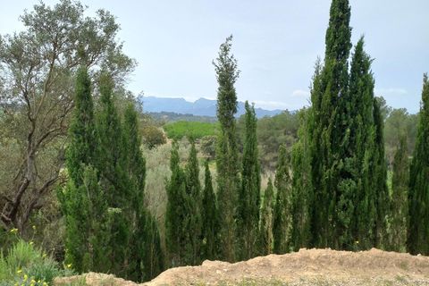 Helårsgrund i Ginestar, Tarragona, Ginestar - € 20.000 | Ref: EXP13927/8930 - foto 31
