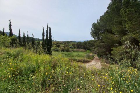 Helårsgrund i Ginestar, Tarragona, Ginestar - € 20.000 | Ref: EXP13927/8930 - foto 33