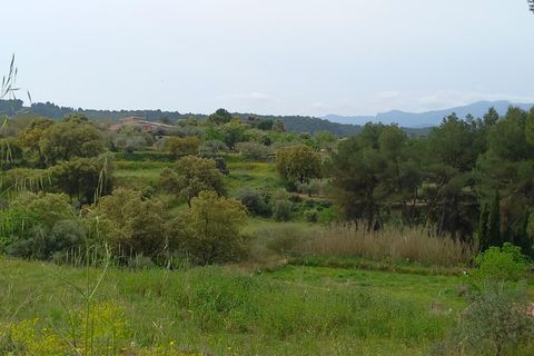Helårsgrund i Ginestar, Tarragona, Ginestar - € 20.000 | Ref: EXP13927/8930 - foto 34