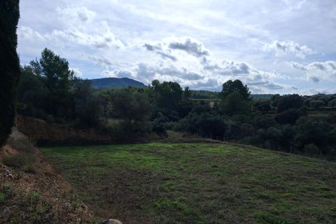Helårsgrund i Ginestar, Tarragona, Ginestar - € 20.000 | Ref: EXP13927/8930 - foto 35