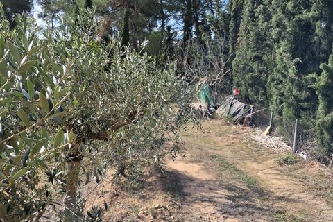 Helårsgrund i Ginestar, Tarragona, Ginestar - € 20.000 | Ref: EXP13927/8930 - foto 40