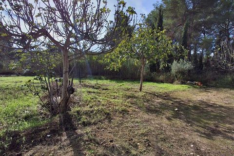 Helårsgrund i Ginestar, Tarragona, Ginestar - € 20.000 | Ref: EXP13927/8930 - foto 41