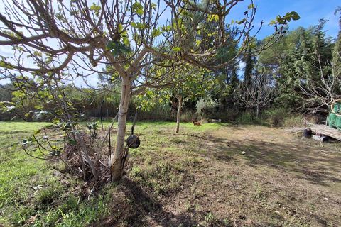 Helårsgrund i Ginestar, Tarragona, Ginestar - € 20.000 | Ref: EXP13927/8930 - foto 42