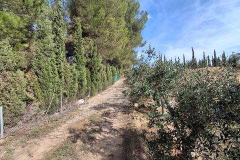Helårsgrund i Ginestar, Tarragona, Ginestar - € 20.000 | Ref: EXP13927/8930 - foto 47