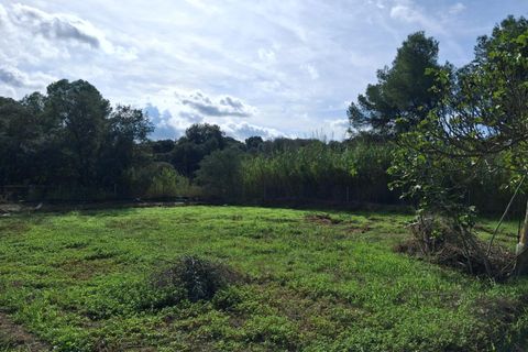 Helårsgrund i Ginestar, Tarragona, Ginestar - € 20.000 | Ref: EXP13927/8930 - foto 50