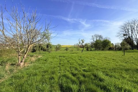 Landejendom i Chalvraines, Haute-Marne, Chalvraines - € 59.000 | Ref: 86874252 - foto 22