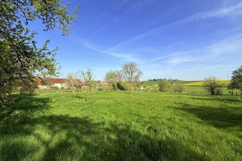 Landejendom i Chalvraines, Haute-Marne, Chalvraines - € 59.000 | Ref: 86874252 - foto 23