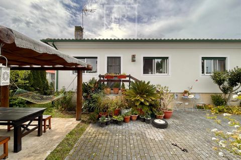Villa i Oliveira do Bairro, Aveiro, Oliveira do Bairro - € 330.000 | Ref: 47/2026 JF - foto 9