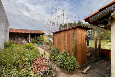 Villa i Oliveira do Bairro, Aveiro, Oliveira do Bairro - € 330.000 | Ref: 47/2026 JF - foto 13