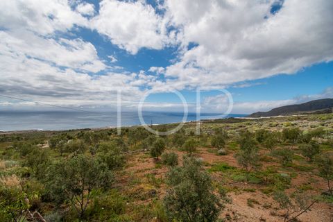 Landejendom i Alcala, Tenerife, Alcala - € 790.000 | Ref: TOP-EW-484 - foto 23