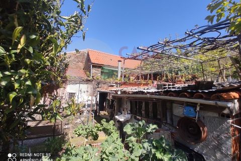 Farm i Arganil, Coimbra, Arganil - € 49.000 | Ref: AC 26/304 - foto 3