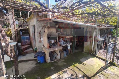 Farm i Arganil, Coimbra, Arganil - € 49.000 | Ref: AC 26/304 - foto 4