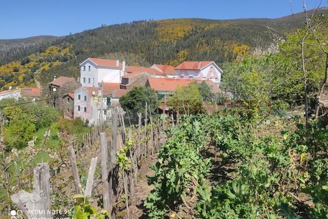 Farm i Arganil, Coimbra, Arganil - € 49.000 | Ref: AC 26/304 - foto 5