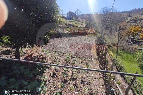 Farm i Arganil, Coimbra, Arganil - € 49.000 | Ref: AC 26/304 - foto 6
