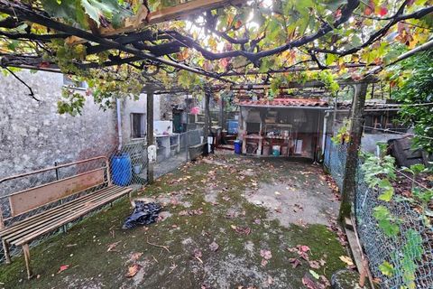 Farm i Arganil, Coimbra, Arganil - € 49.000 | Ref: AC 26/304 - foto 7