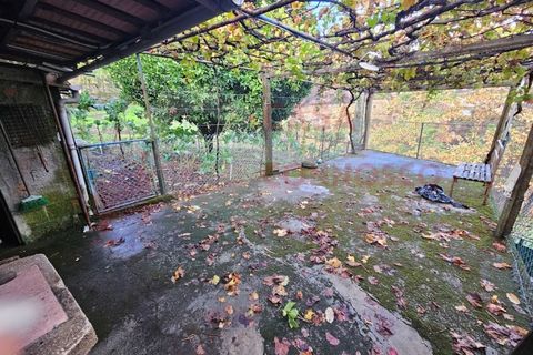 Farm i Arganil, Coimbra, Arganil - € 49.000 | Ref: AC 26/304 - foto 8