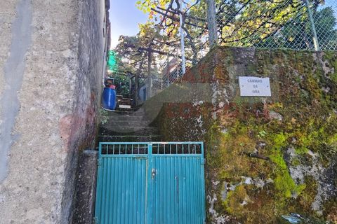 Farm i Arganil, Coimbra, Arganil - € 49.000 | Ref: AC 26/304 - foto 10