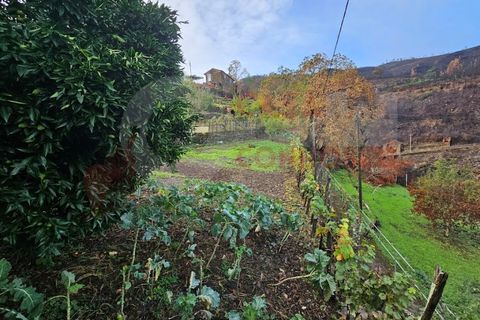 Farm i Arganil, Coimbra, Arganil - € 49.000 | Ref: AC 26/304 - foto 22