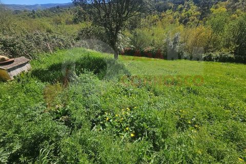 Villa i Arganil, Coimbra, Arganil - € 195.000 | Ref: AC 26/302 - foto 6