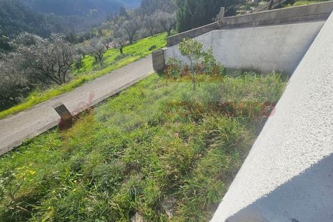 Dupleks i Arganil, Coimbra, Arganil - € 260 000 | Ref: AC 26/301 - foto 41