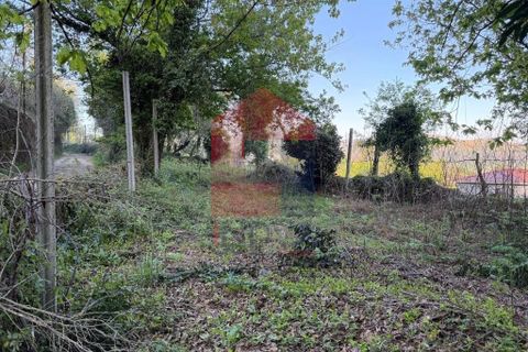 Byhus i Vila Verde, Braga, Vila Verde - € 66.500 | Ref: 08856 - foto 13