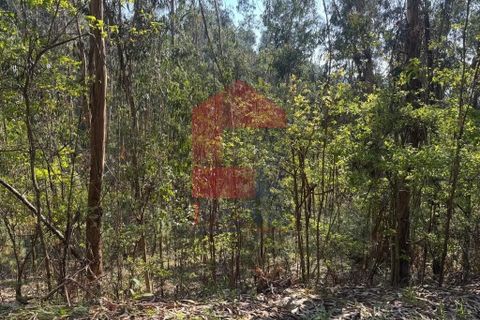 Helårsgrund i Vila Verde, Braga, Vila Verde - € 21.500 | Ref: 08858 - foto 10