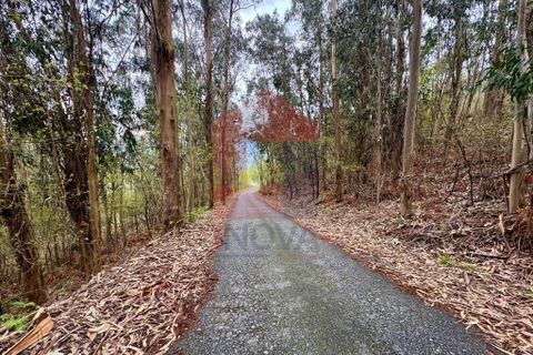 Helårsgrund i Vila Verde, Braga, Vila Verde - € 21.500 | Ref: 08858 - foto 15