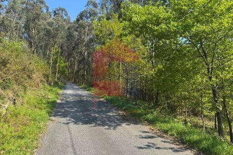 Helårsgrund i Vila Verde, Braga, Vila Verde - € 21.500 | Ref: 08858 - foto 17