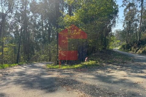 Helårsgrund i Vila Verde, Braga, Vila Verde - € 21.500 | Ref: 08858 - foto 18