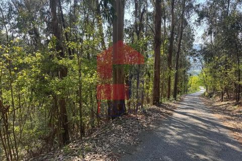 Helårsgrund i Vila Verde, Braga, Vila Verde - € 21.500 | Ref: 08858 - foto 19