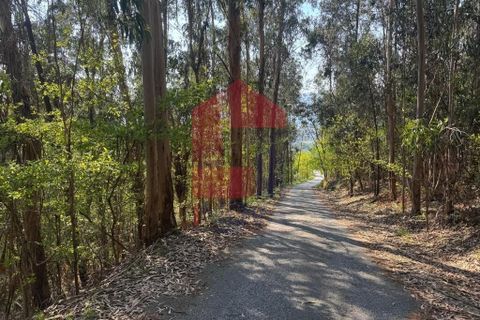 Helårsgrund i Vila Verde, Braga, Vila Verde - € 21.500 | Ref: 08858 - foto 20