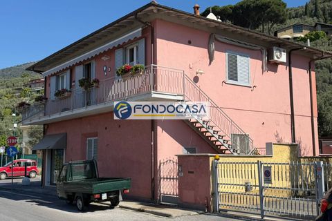 Villa - Seravezza, Lucca, Seravezza - € 290 000 | Réf : fdm679 - photo 28