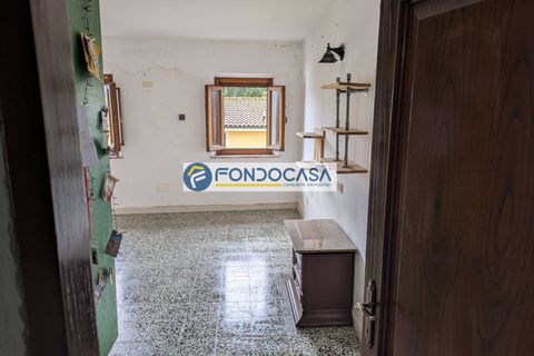 Landejendom i Lucca, Lucca, Lucca - € 198.900 | Ref: fdm680 - foto 38