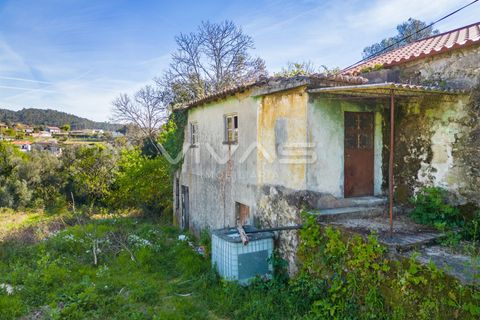 Villa i Vila Verde, Braga, Vila Verde - € 69.000 | Ref: 01-3787 - foto 4