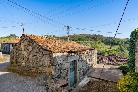 Landejendom i Vila Verde, Braga, Vila Verde - € 47.500 | Ref: 01-3807 - foto 5