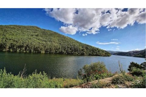 Helårsgrund i Penafiel, Porto, Penafiel - € 1.350.000 | Ref: SÒL_235 - foto 10