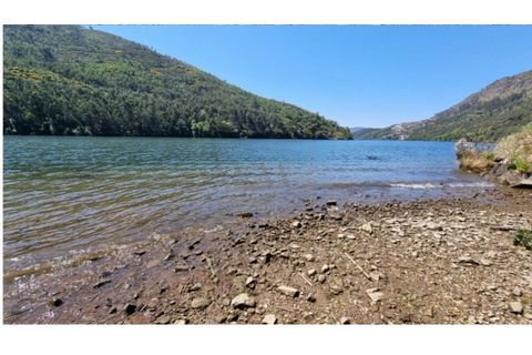 Helårsgrund i Penafiel, Porto, Penafiel - € 1.350.000 | Ref: SÒL_235 - foto 13