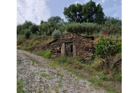 Helårsgrund i Penafiel, Porto, Penafiel - € 1.350.000 | Ref: SÒL_235 - foto 15