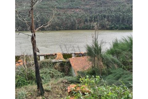 Helårsgrund i Penafiel, Porto, Penafiel - € 1.350.000 | Ref: SÒL_235 - foto 21