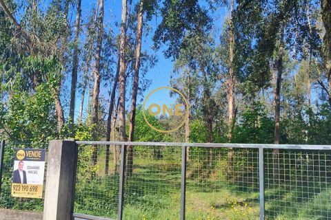 Helårsgrund i Vila Verde, Braga, Vila Verde - € 148.000 | Ref: ONE131878-4 - foto 5