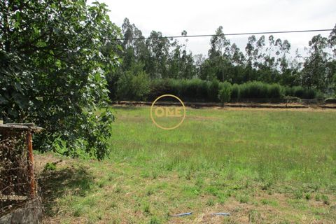 Byhus i Santo Tirso, Porto, Santo Tirso - € 530.000 | Ref: ONE512022-1 - foto 37