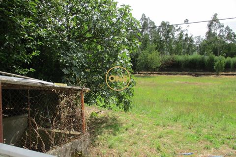 Byhus i Santo Tirso, Porto, Santo Tirso - € 530.000 | Ref: ONE512022-1 - foto 39