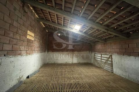 Landejendom i Obidos, Leiria, Obidos - € 535.000 | Ref: MT407 - foto 3