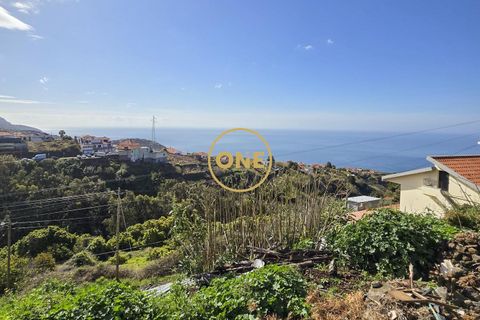 Byhus i Ponta do Sol, Madeira, Ponta do Sol - € 220.000 | Ref: ONE361632-2 - foto 13