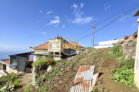 Byhus i Ponta do Sol, Madeira, Ponta do Sol - € 220.000 | Ref: ONE361632-2 - foto 14