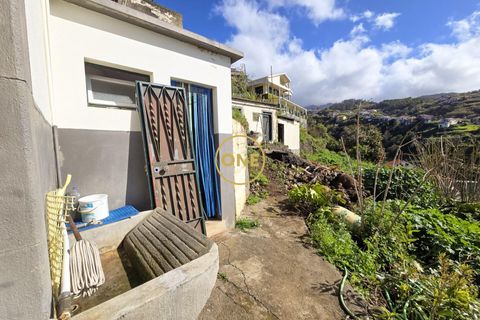 Byhus i Ponta do Sol, Madeira, Ponta do Sol - € 220.000 | Ref: ONE361632-2 - foto 15