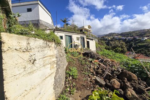 Byhus i Ponta do Sol, Madeira, Ponta do Sol - € 220.000 | Ref: ONE361632-2 - foto 19