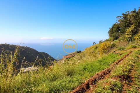 Helårsgrund i Camara de Lobos, Madeira, Camara de Lobos - € 40.000 | Ref: ONE361961-27 - foto 1