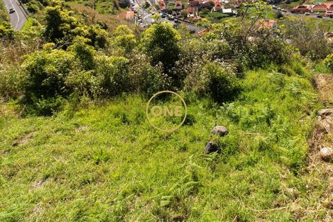 Helårsgrund i Camara de Lobos, Madeira, Camara de Lobos - € 40.000 | Ref: ONE361961-27 - foto 4